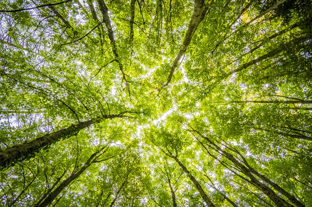 Sondage ‘Les Français, l’Environnement & la Convention Citoyenne : perspectives ou enjeux pour les marques’