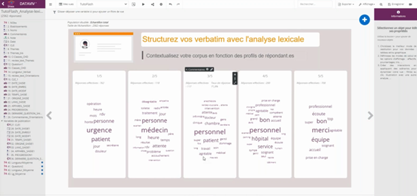 Analyse lexicale dans Dataviv